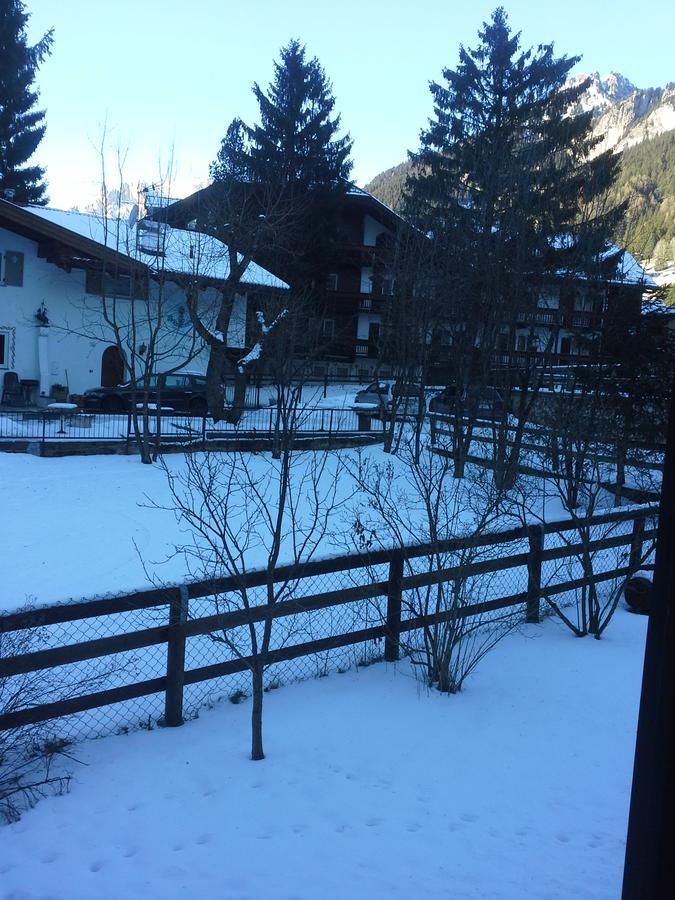 Appartamento Niki Campitello Campitello di Fassa Eksteriør bilde